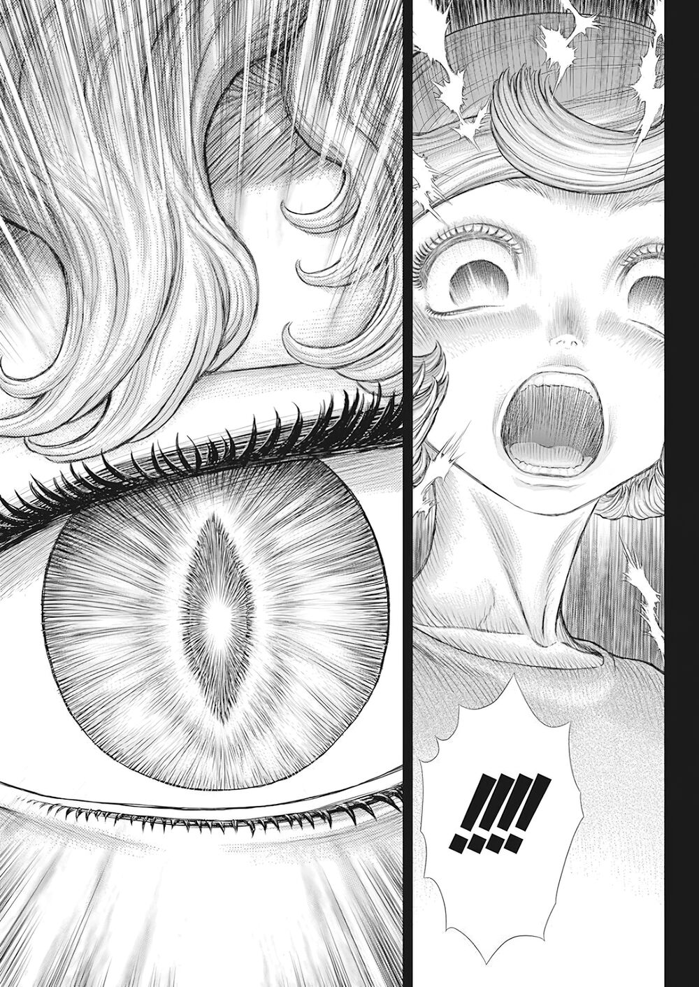 Berserk Tập 365 trang 12
