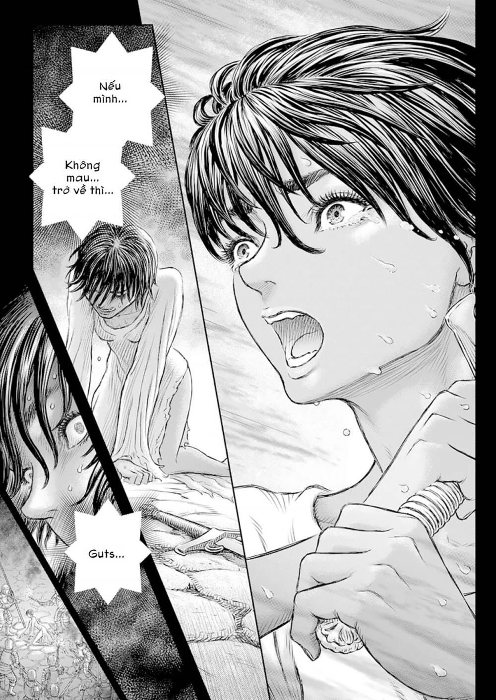 Berserk Tập 372 trang 19