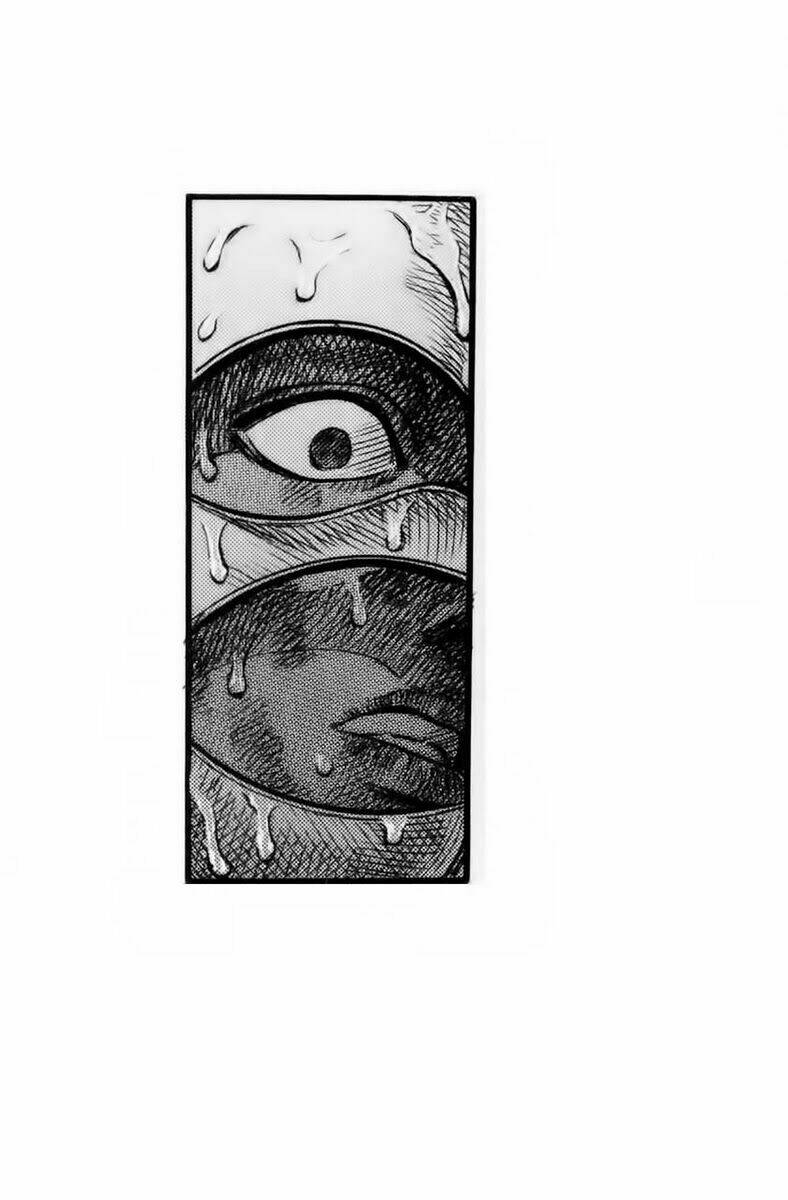 Berserk Tập 89 trang 24