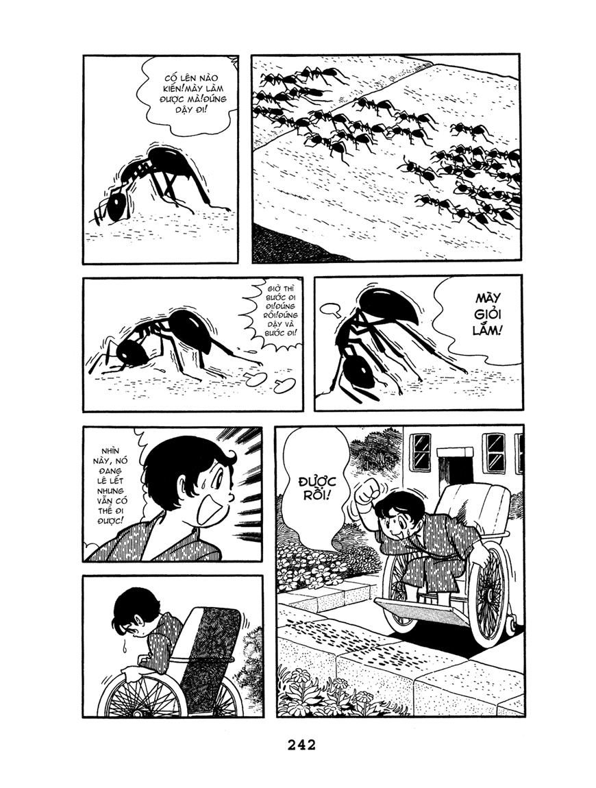 Black Jack Tập 11 trang 4
