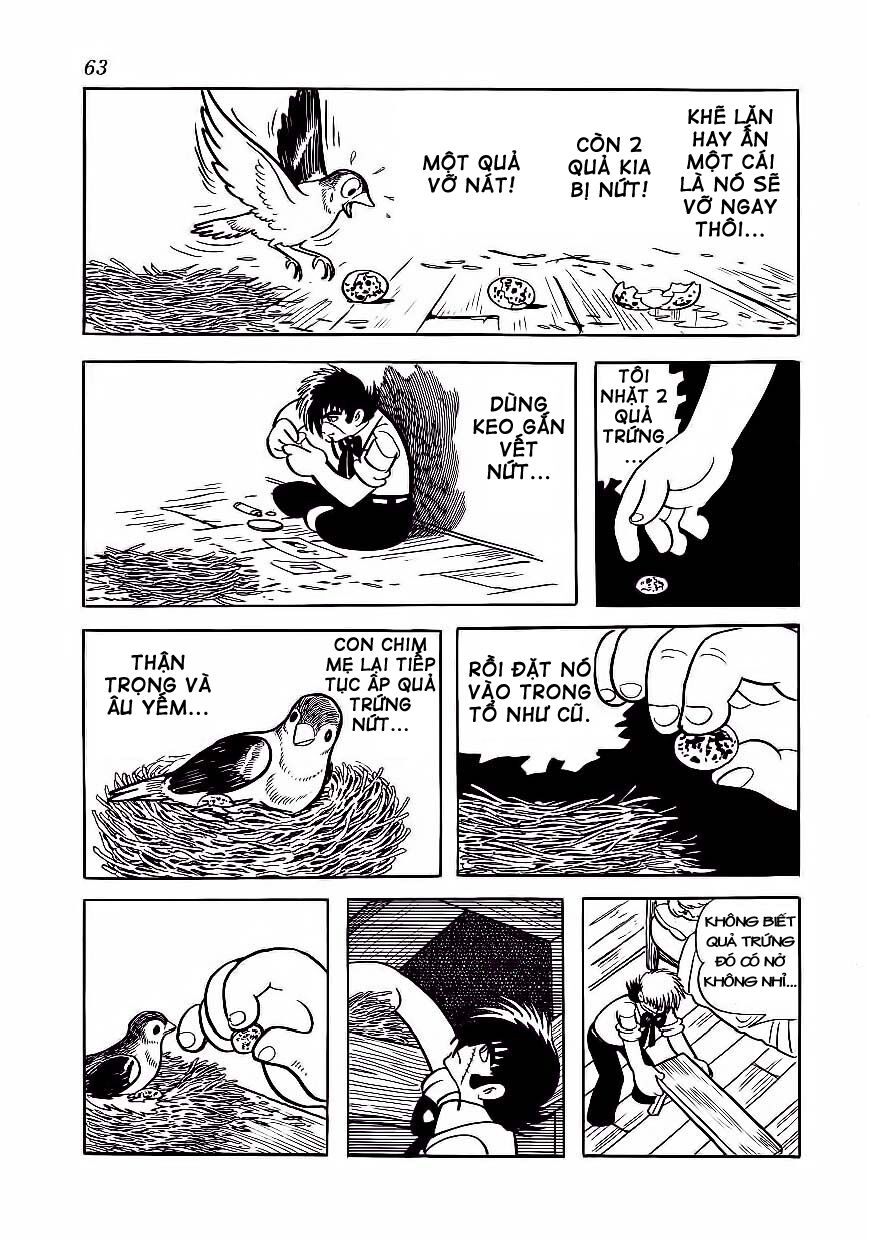 Black Jack Tập 173 trang 16