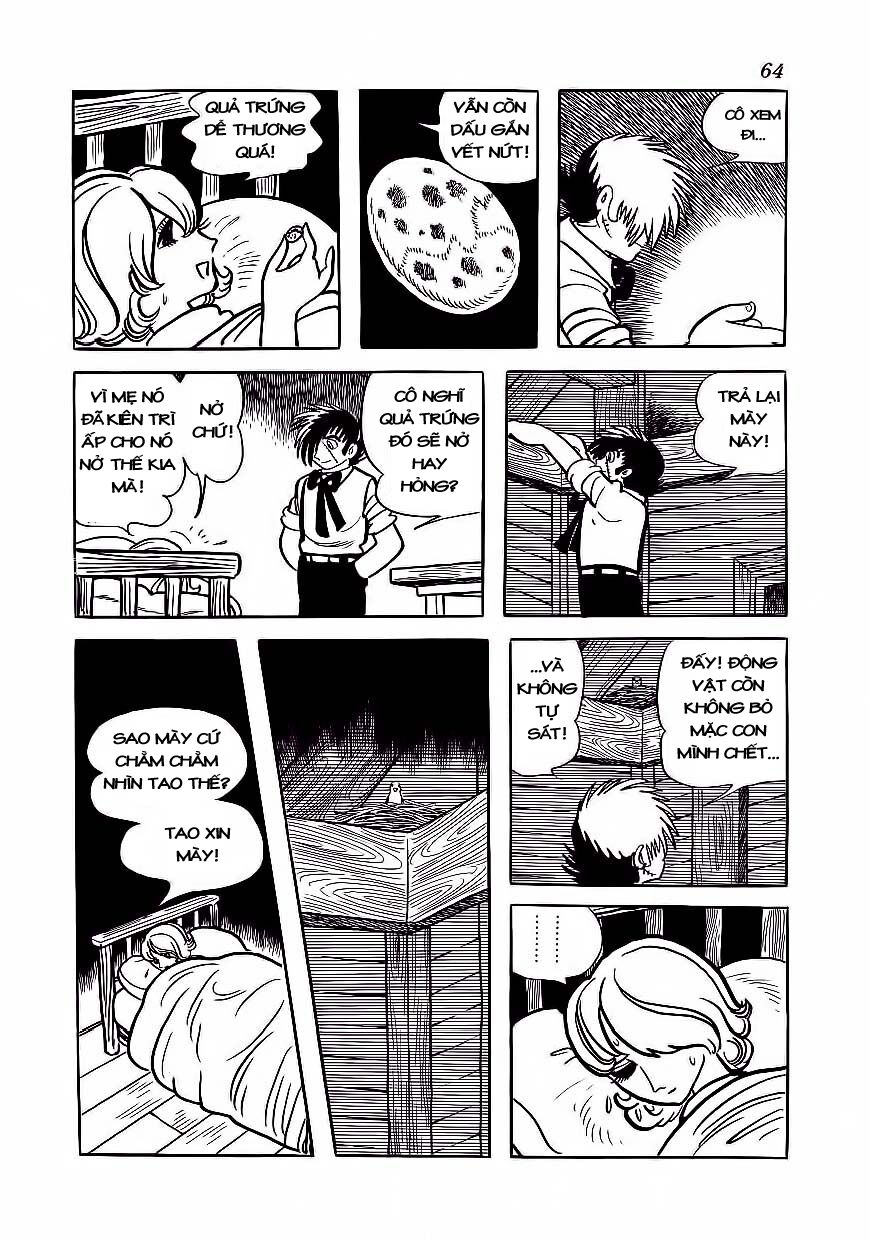Black Jack Tập 173 trang 17