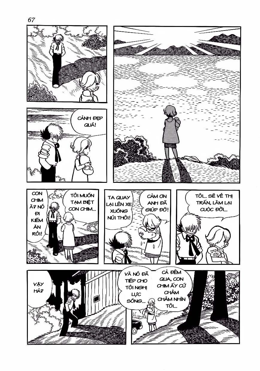 Black Jack Tập 173 trang 19