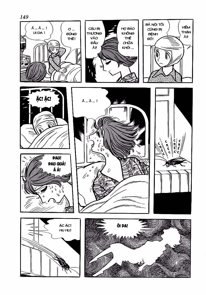 Black Jack Tập 177 trang 13