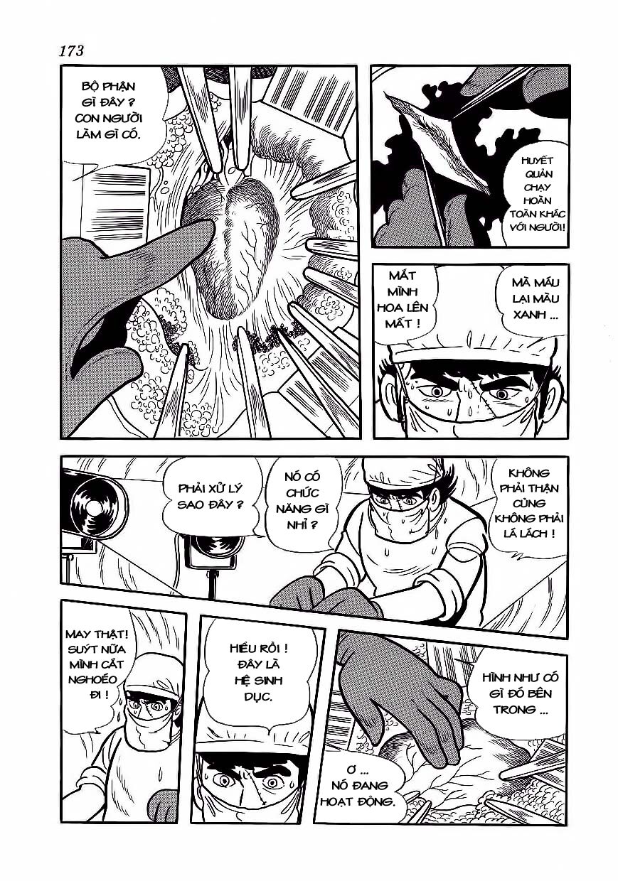 Black Jack Tập 178 trang 16