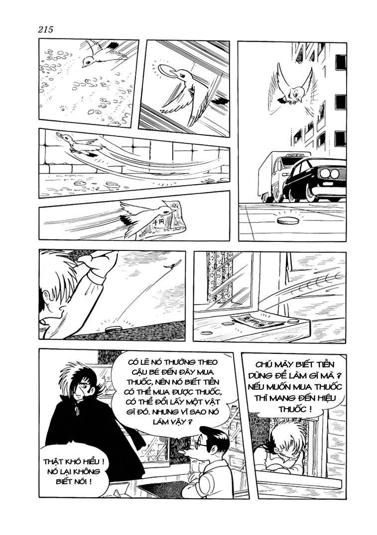 Black Jack Tập 19 trang 16