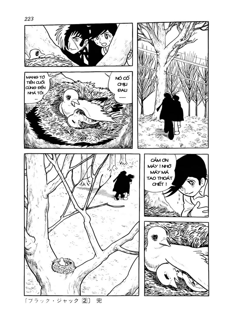Black Jack Tập 19 trang 24