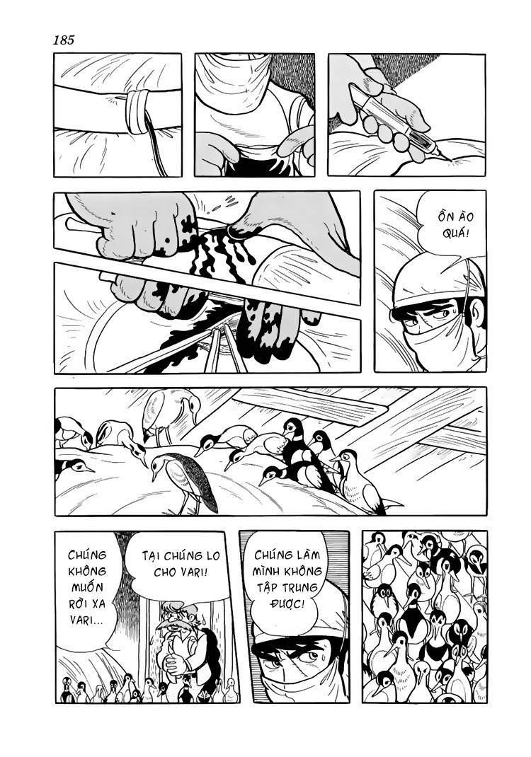 Black Jack Tập 38 trang 12