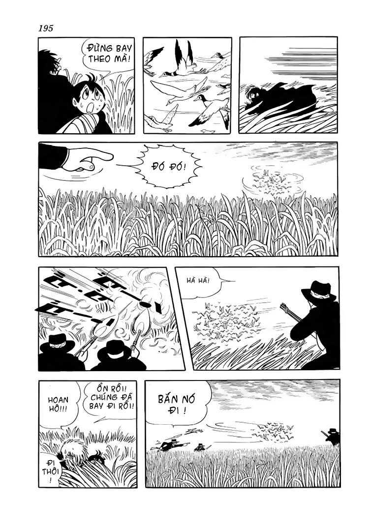 Black Jack Tập 38 trang 22
