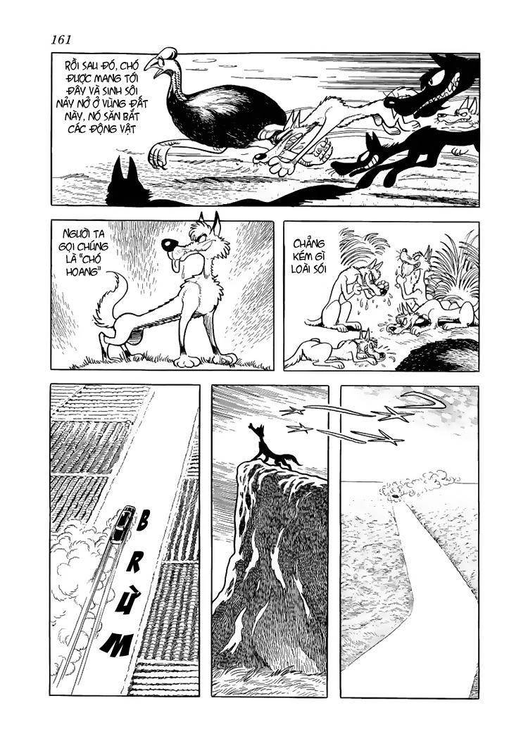 Black Jack Tập 47 trang 6