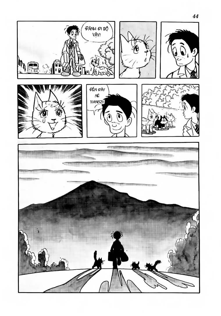 Black Jack Tập 61 trang 21