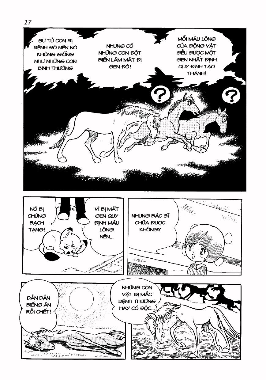 Black Jack Tập 69 trang 12