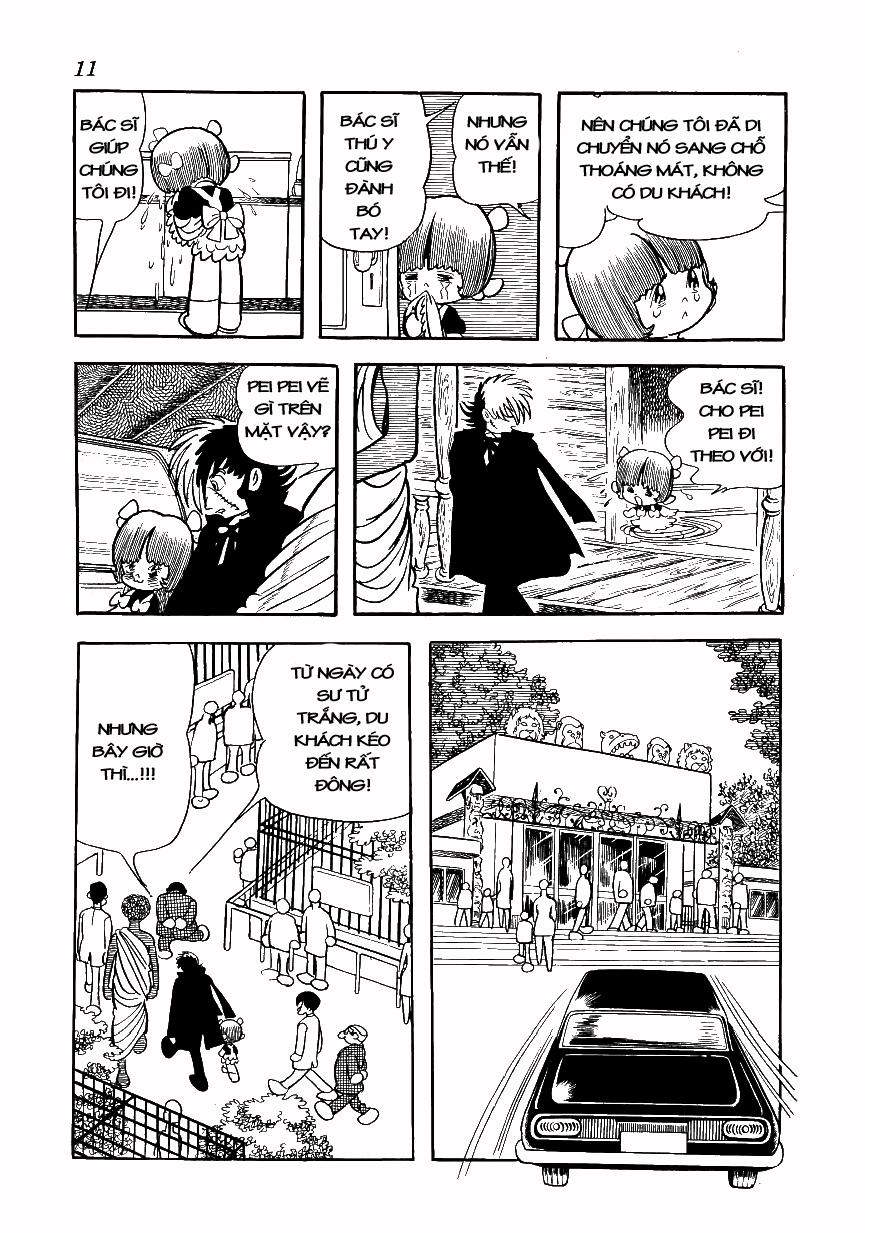 Black Jack Tập 69 trang 6