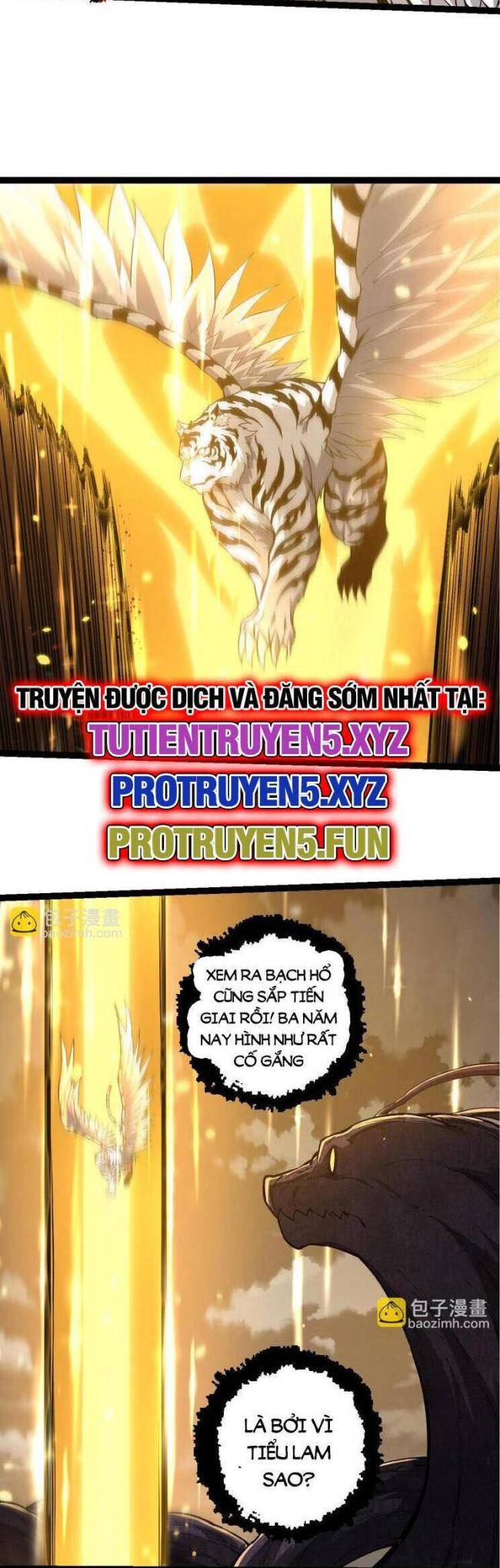 Chuyển Sinh Thành Liễu Đột Biến Tập 210 trang 14