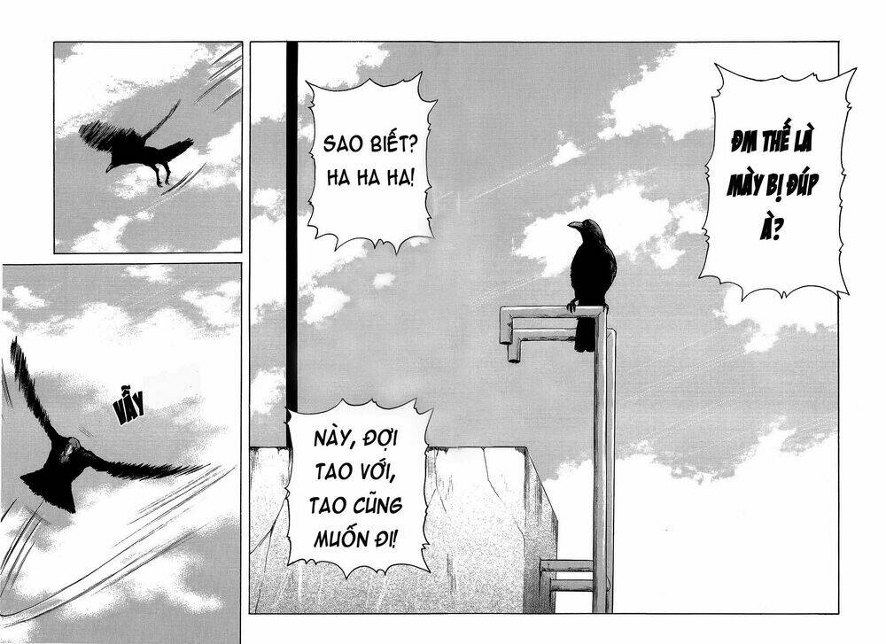 Crows Tập 95 trang 52