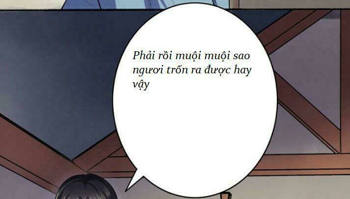 Cuồng Phi Phách Lối Tập 8 trang 5