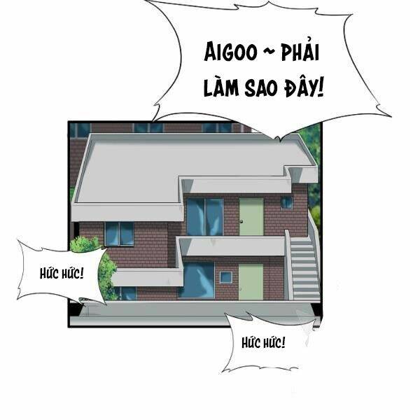 Đây Là Luật Tập 40 trang 85