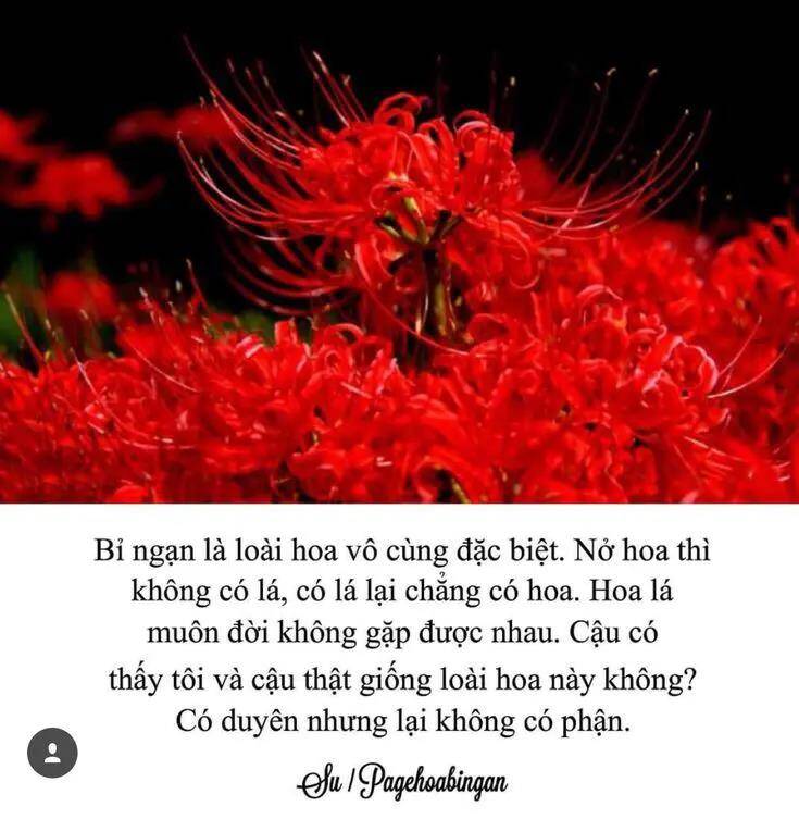 Dị Giới Thất Cách Tập 19 trang 29