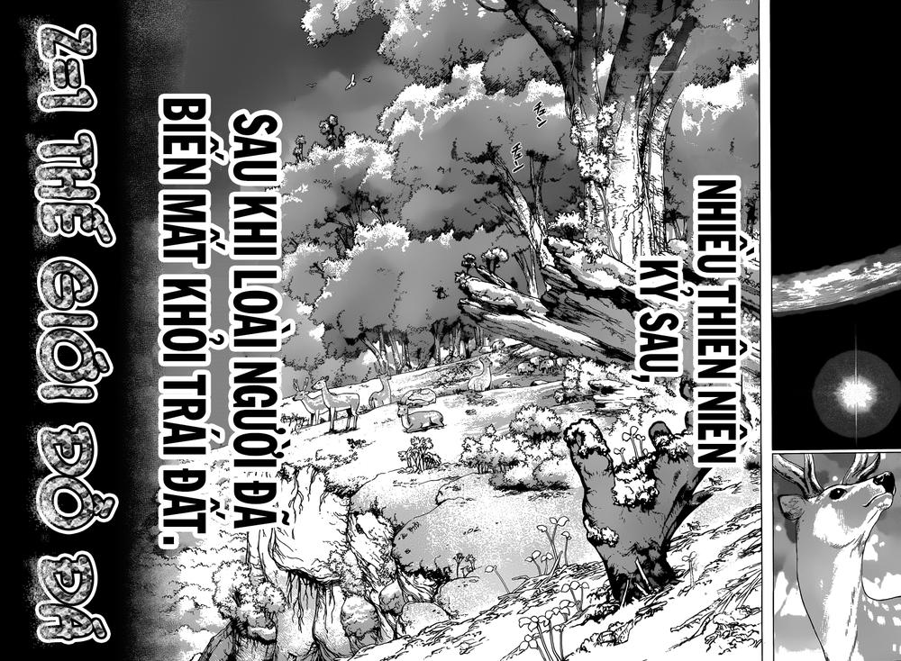 Dr.stone Tập 1 trang 31