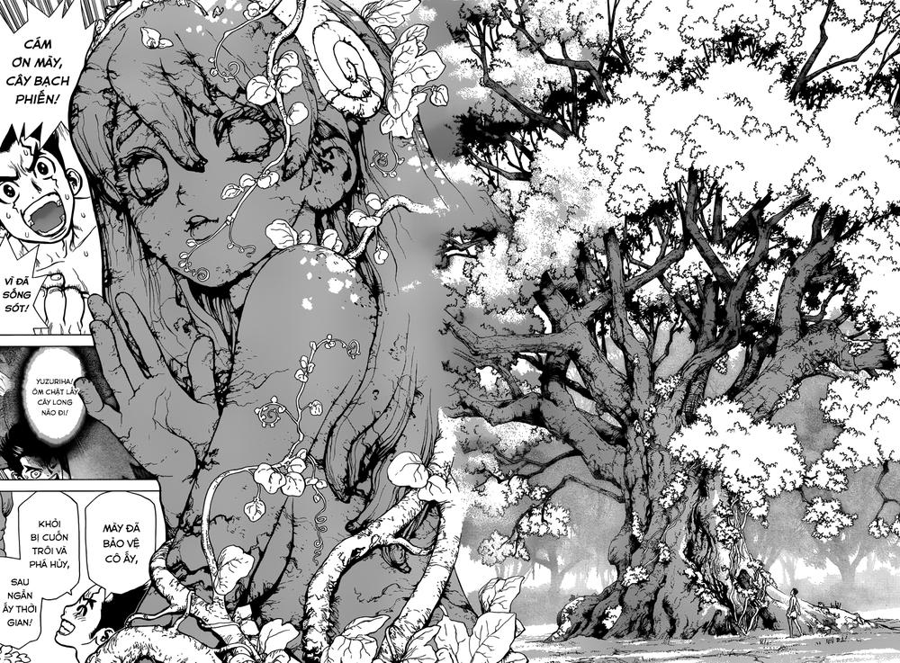 Dr.stone Tập 1 trang 37