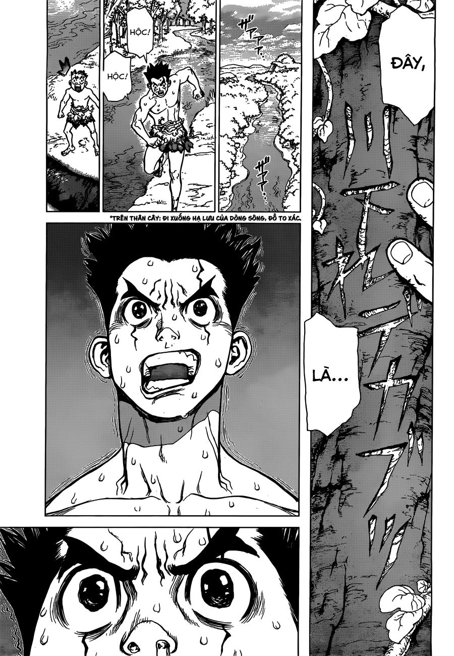 Dr.stone Tập 1 trang 41