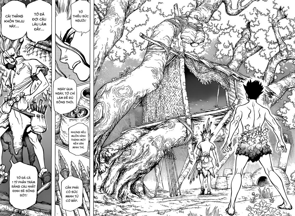 Dr.stone Tập 1 trang 46