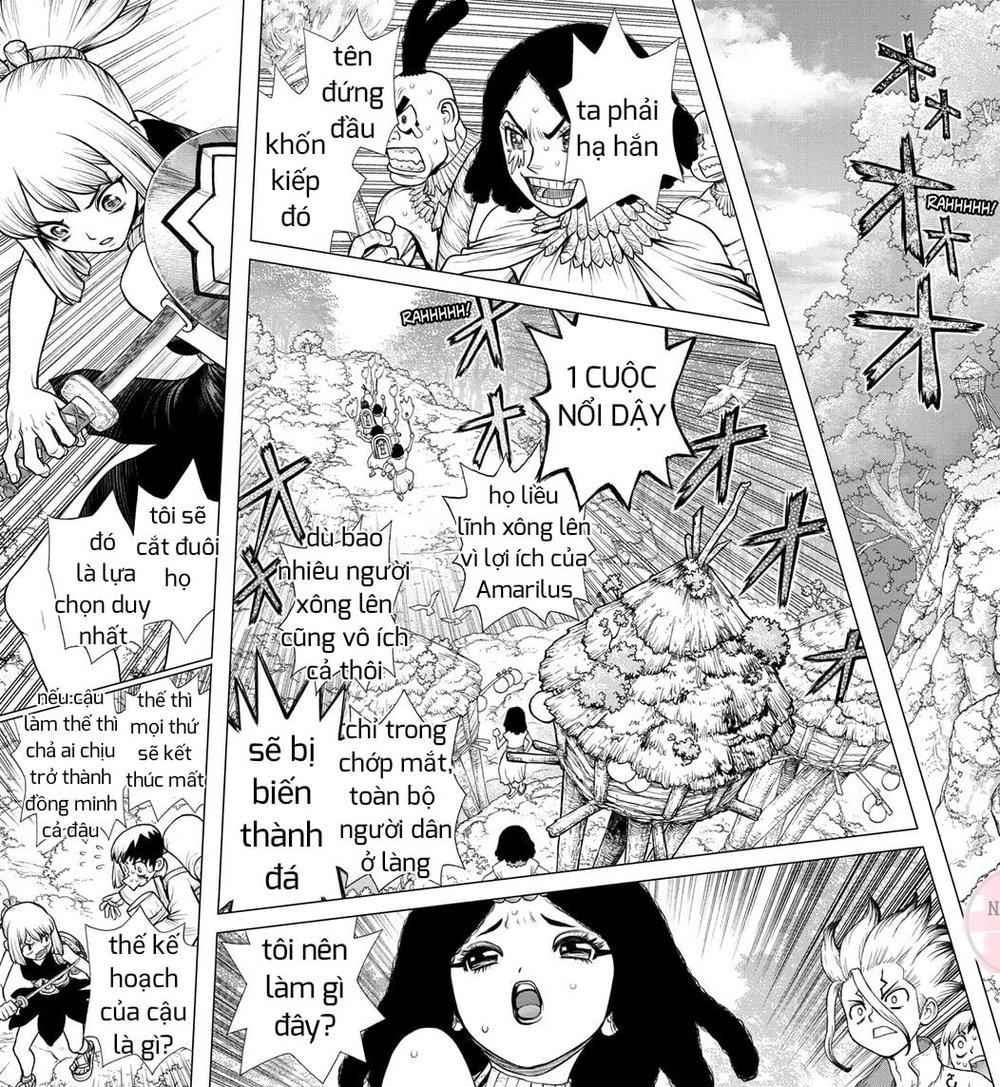 Dr.stone Tập 105 trang 15