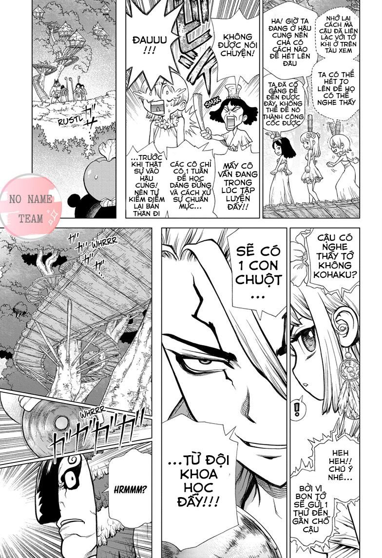 Dr.stone Tập 113 trang 5