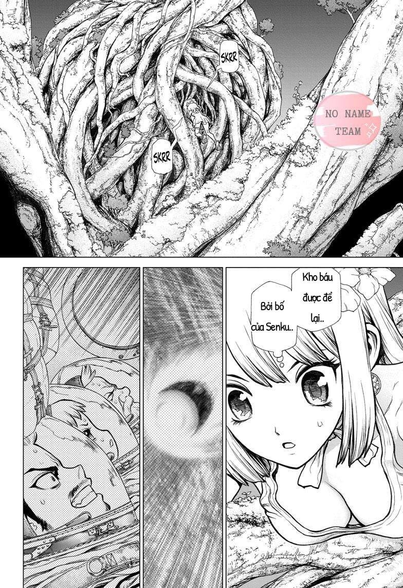 Dr.stone Tập 114 trang 4