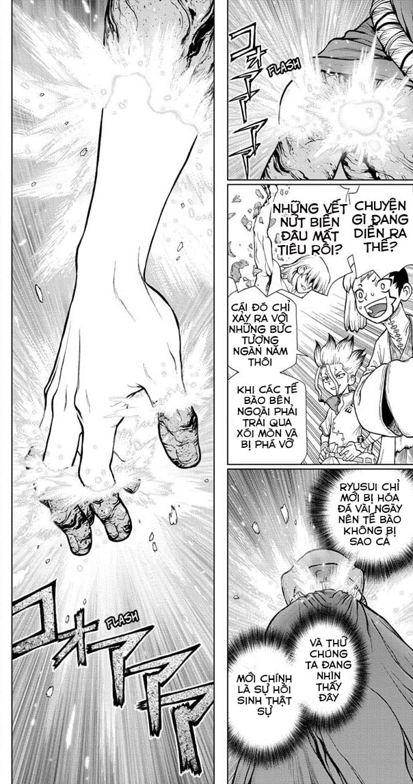 Dr.stone Tập 116 trang 18