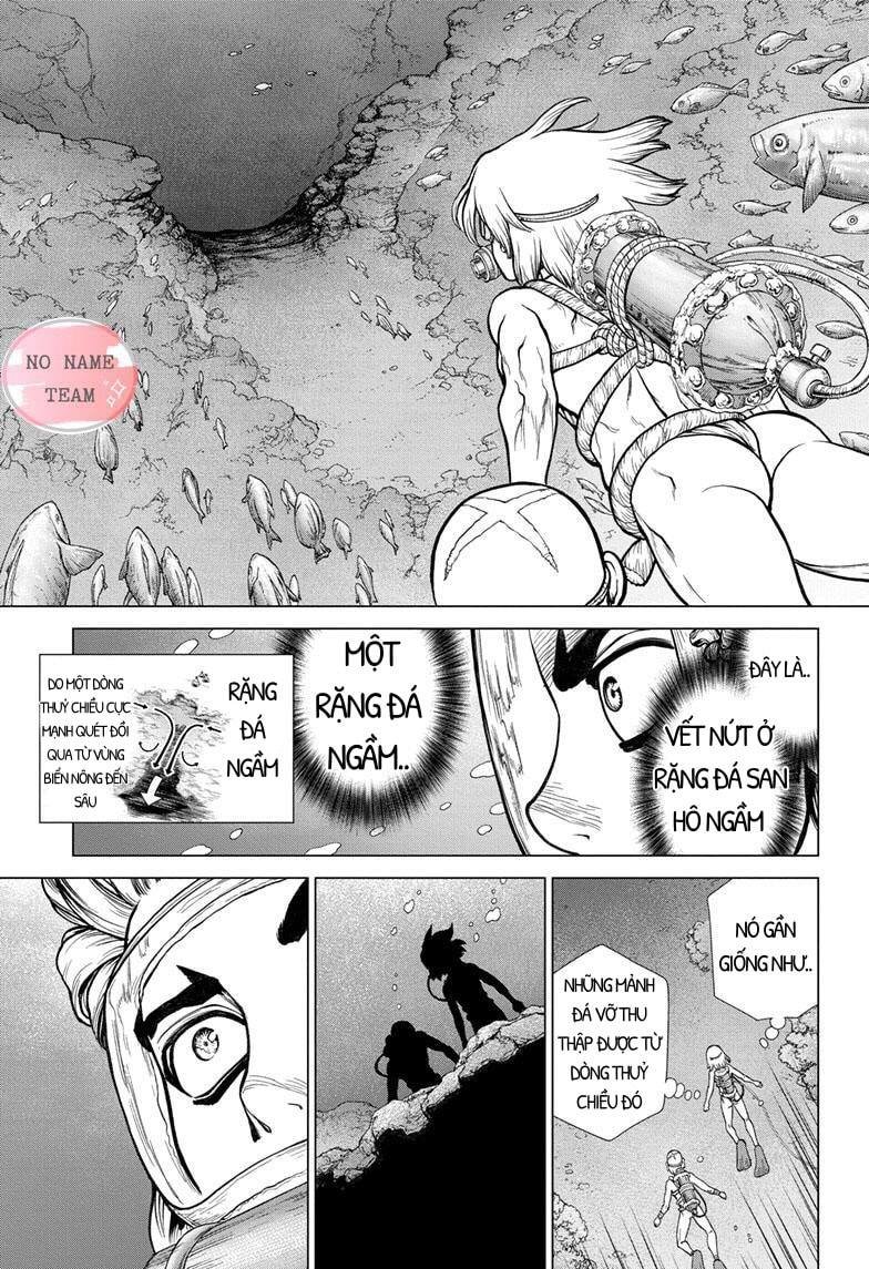 Dr.stone Tập 117 trang 17