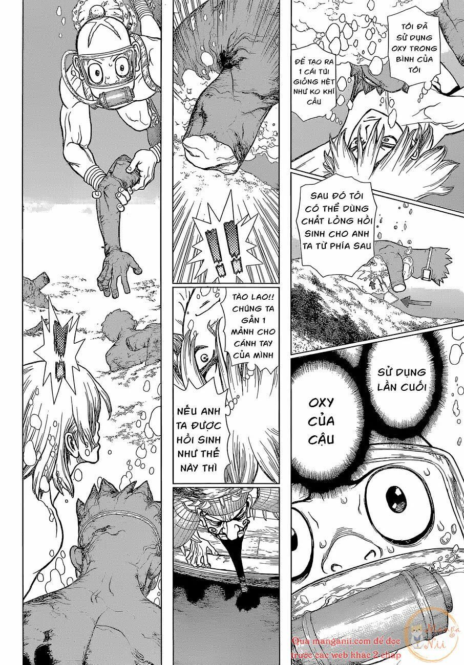 Dr.stone Tập 118 trang 11