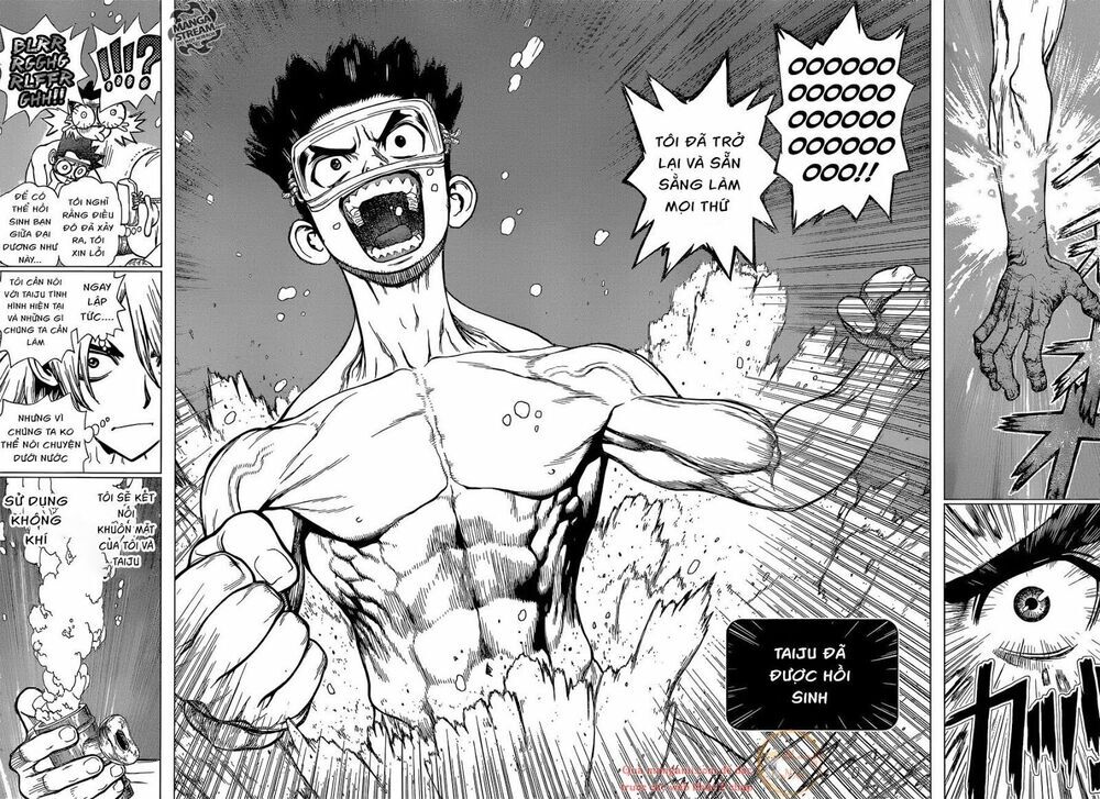 Dr.stone Tập 118 trang 13