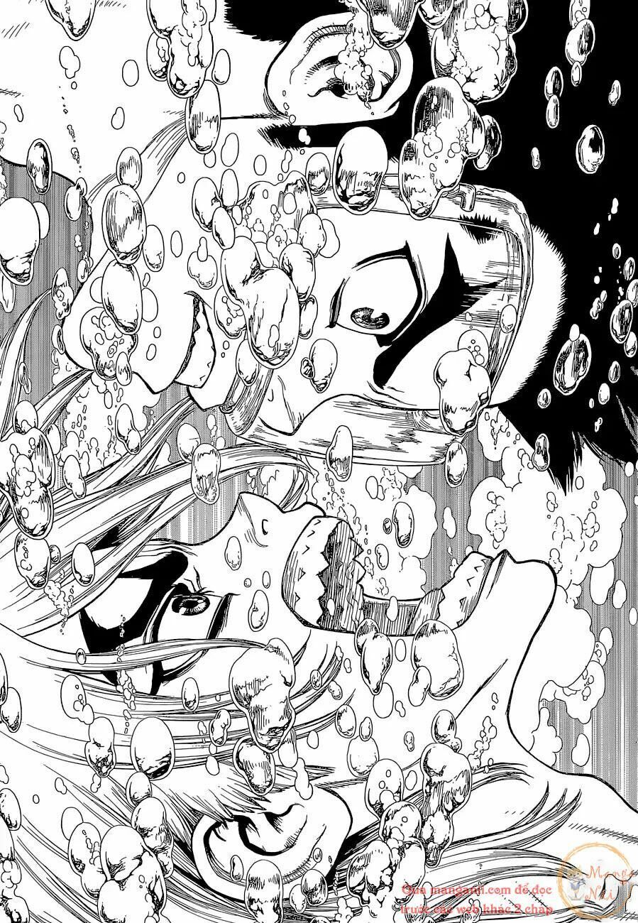 Dr.stone Tập 118 trang 14