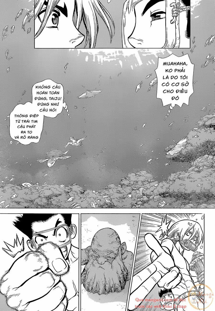 Dr.stone Tập 118 trang 17