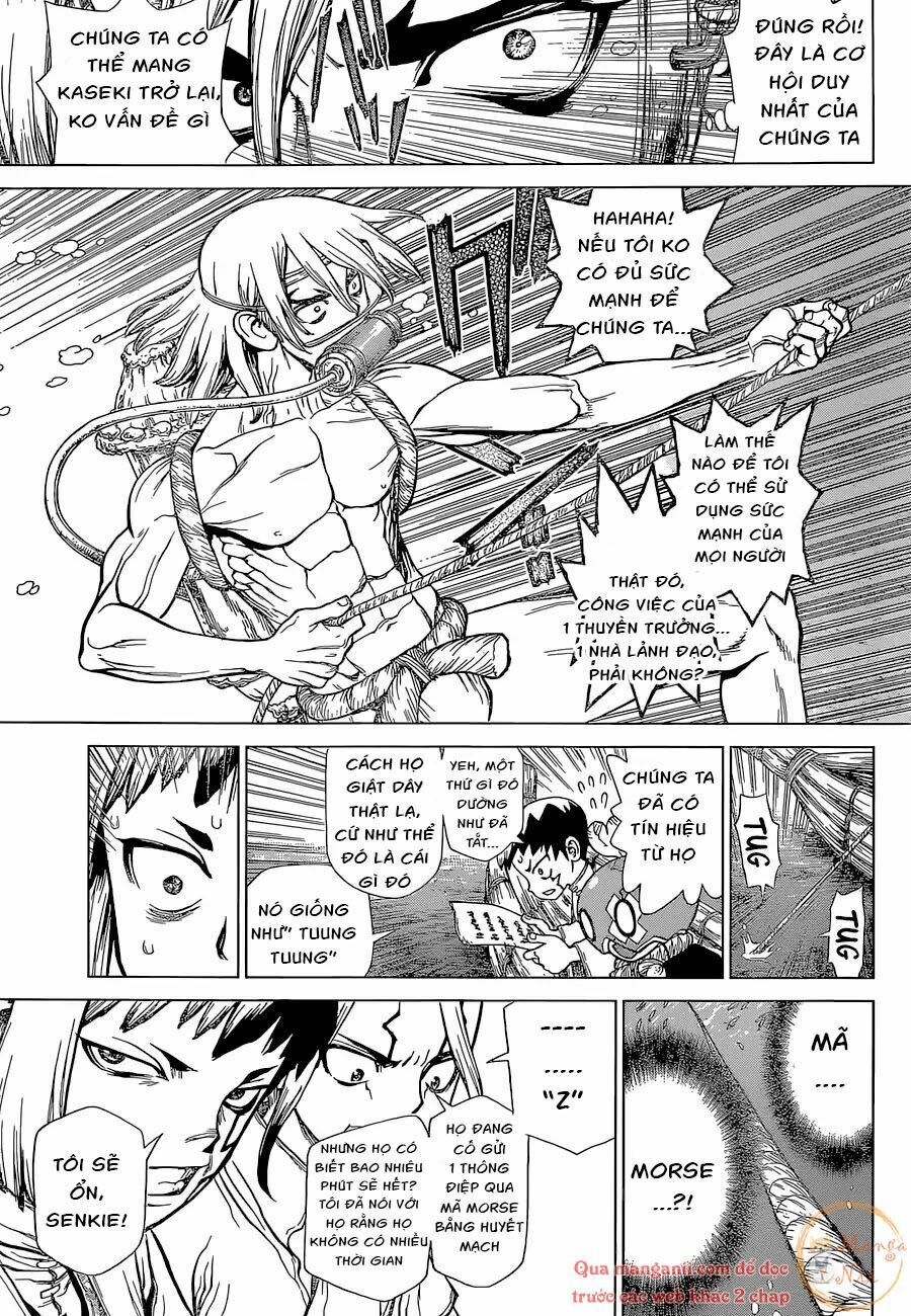 Dr.stone Tập 118 trang 7