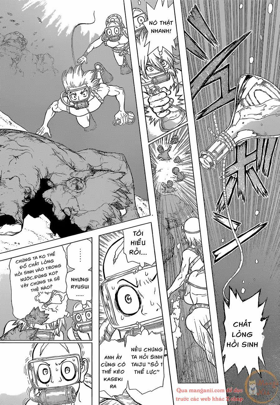 Dr.stone Tập 118 trang 9