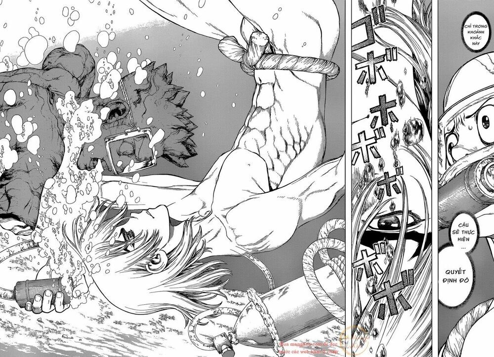 Dr.stone Tập 118 trang 10