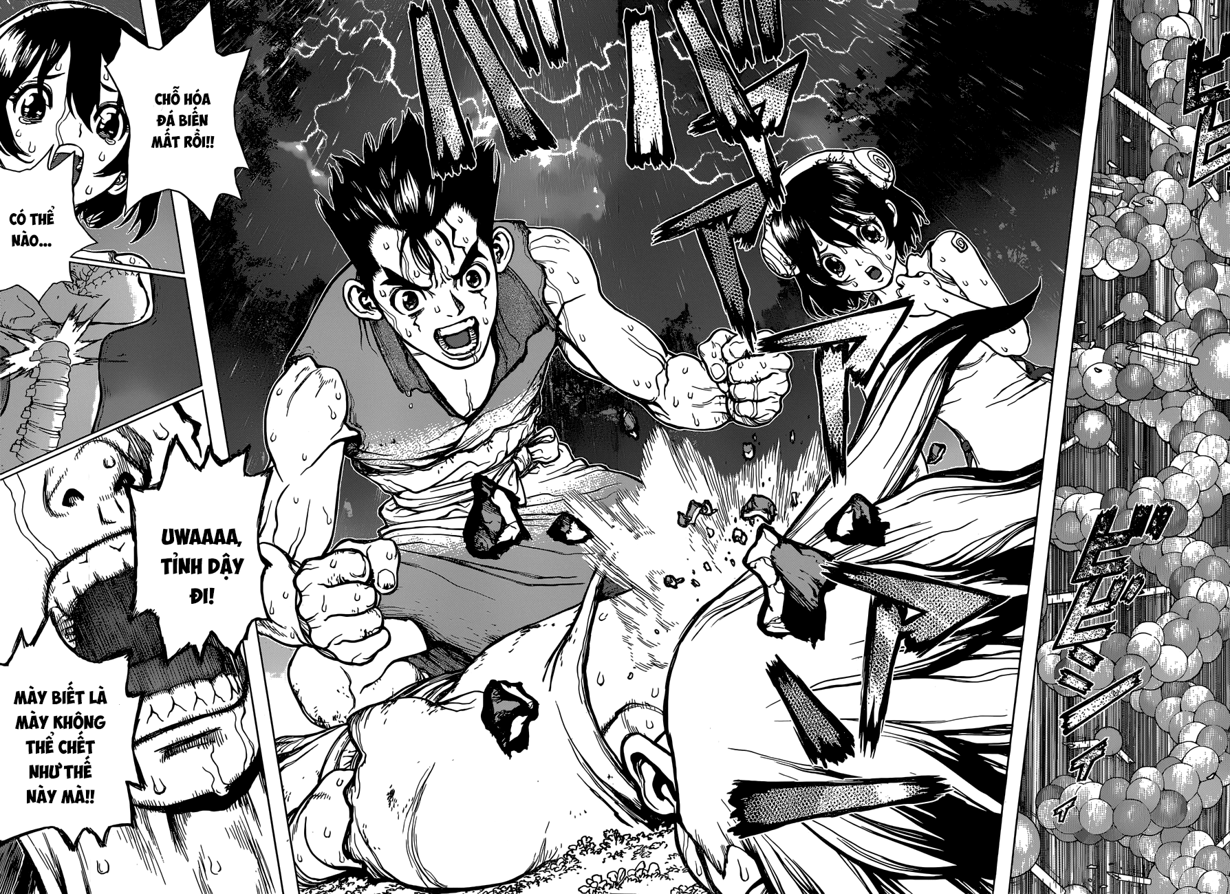 Dr.stone Tập 12 trang 16