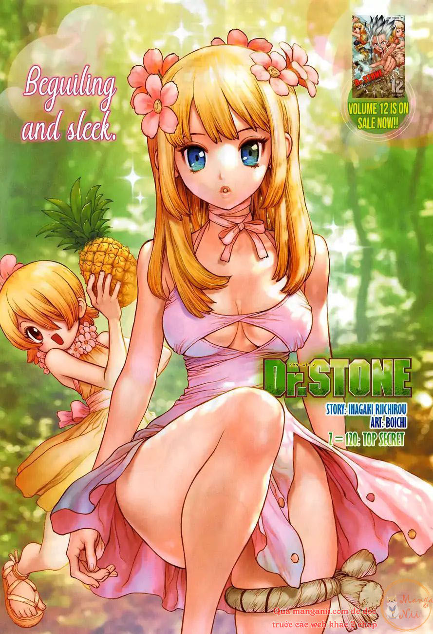 Dr.stone Tập 120 trang 2
