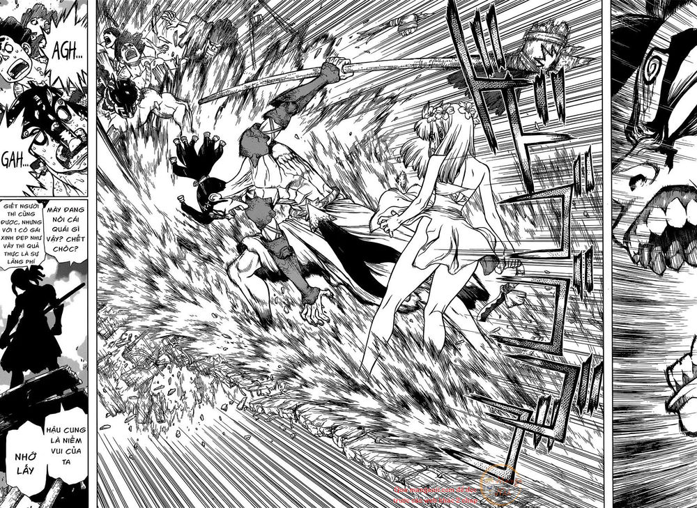 Dr.stone Tập 120 trang 13