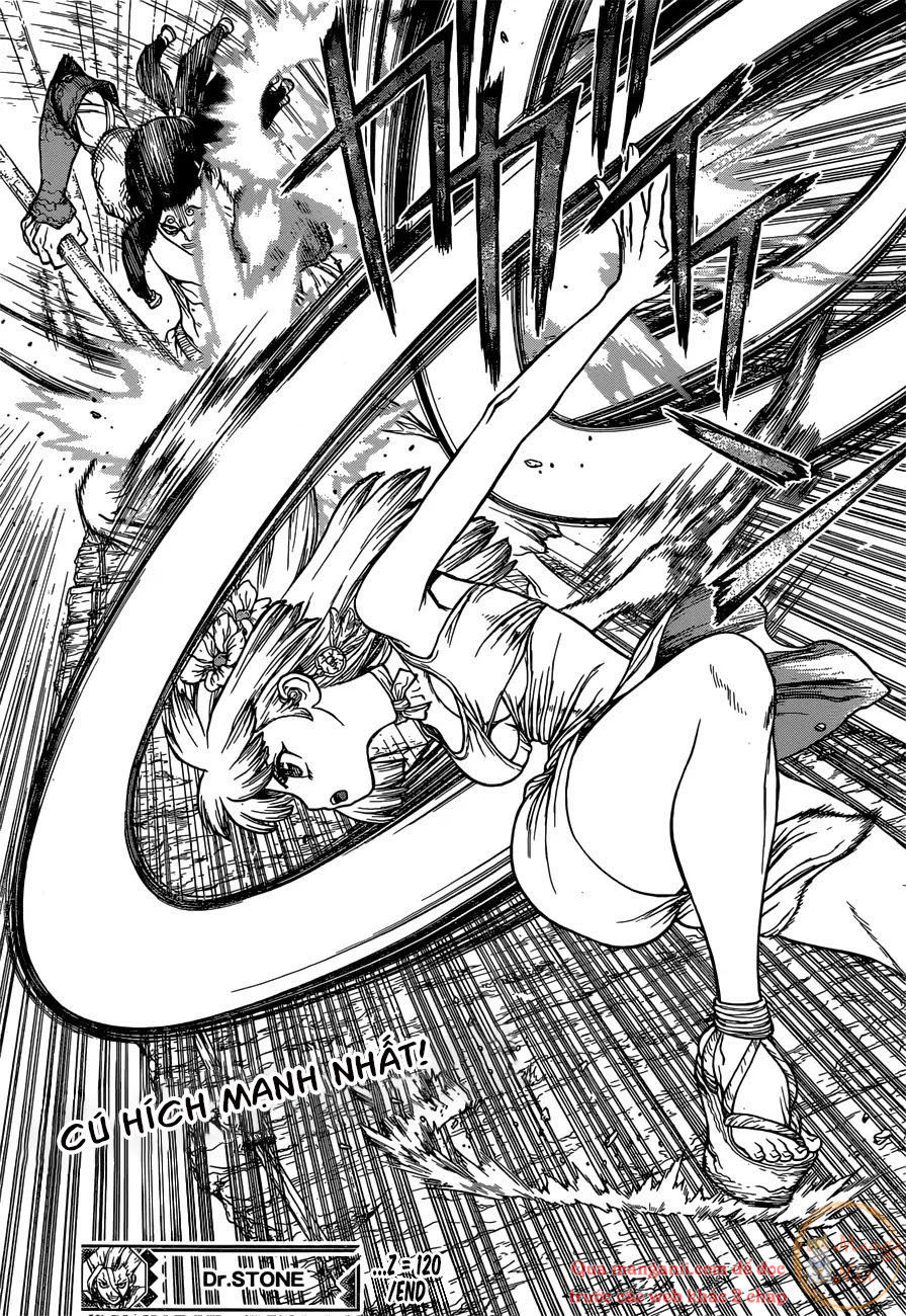 Dr.stone Tập 120 trang 21