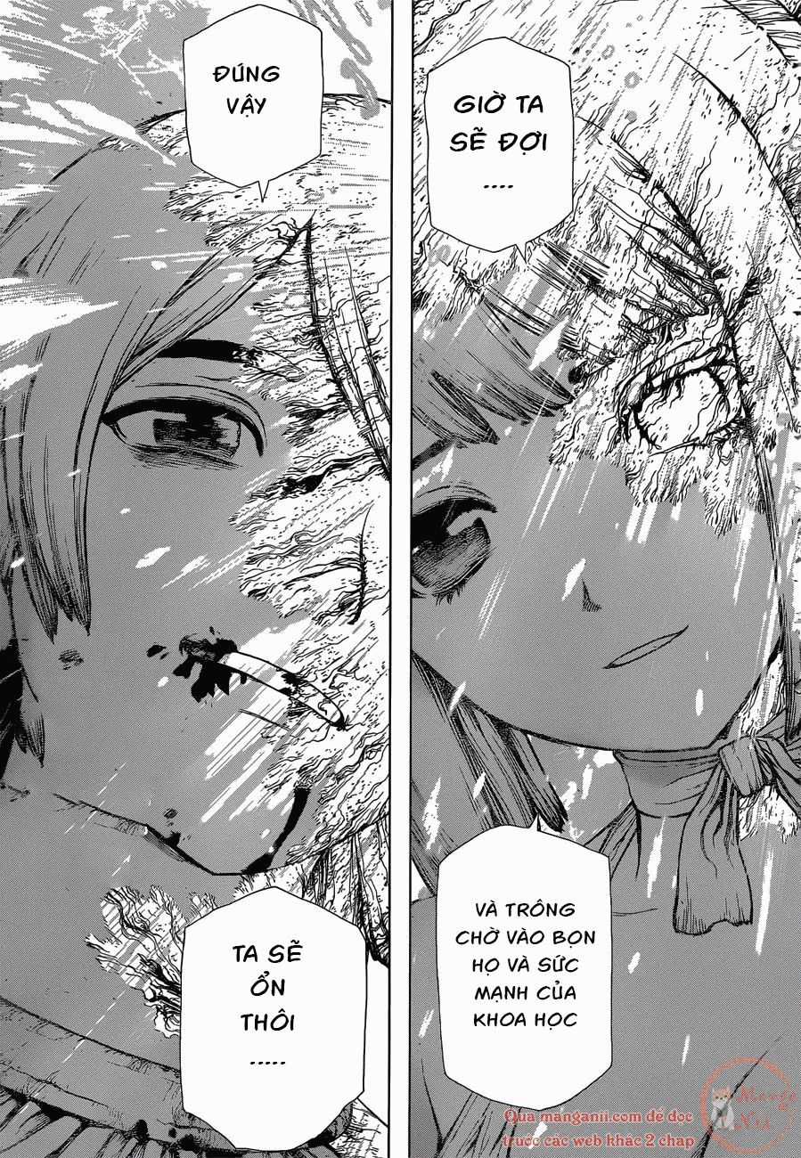 Dr.stone Tập 121 trang 19
