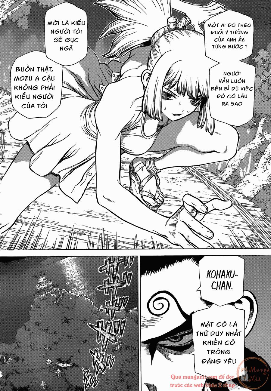 Dr.stone Tập 121 trang 5
