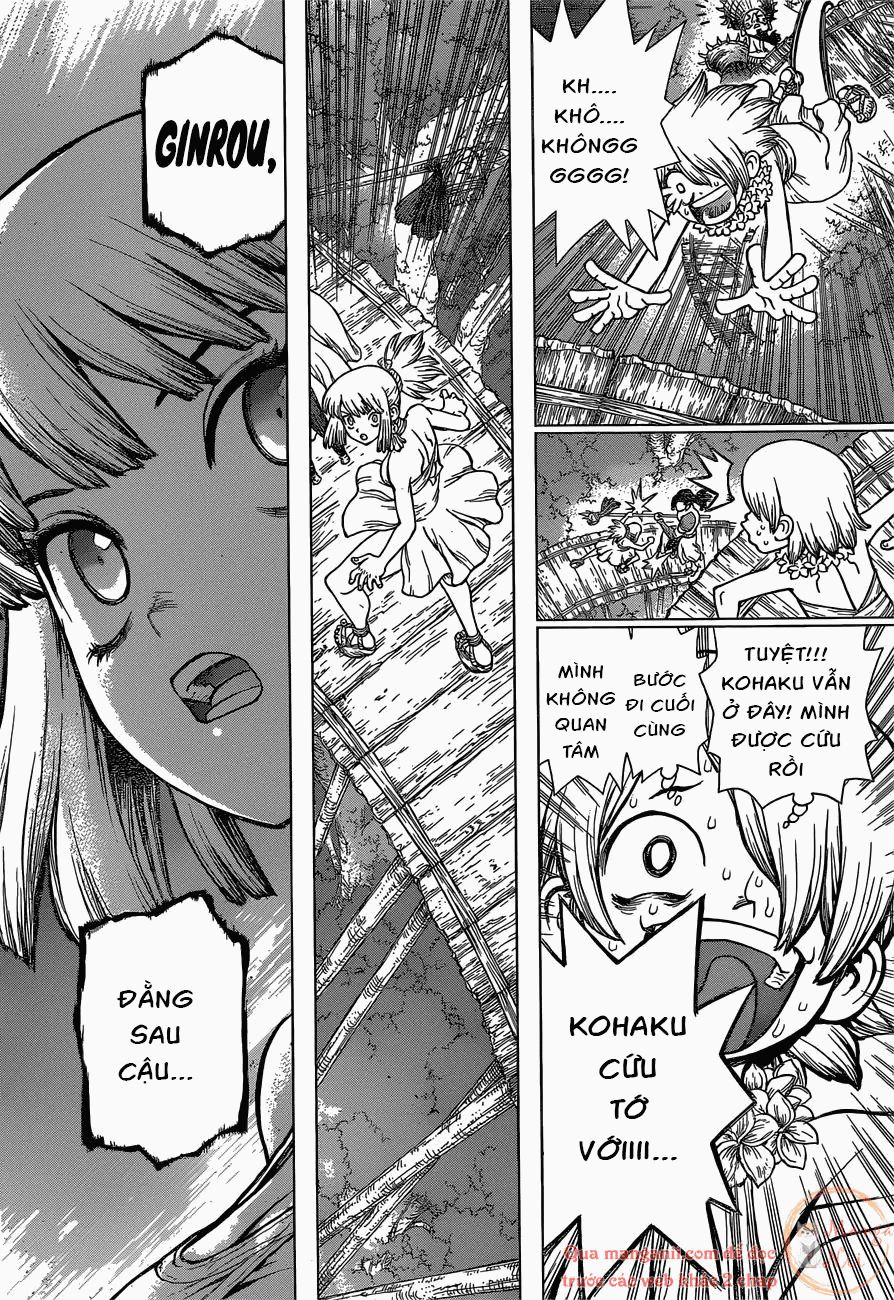 Dr.stone Tập 121 trang 7