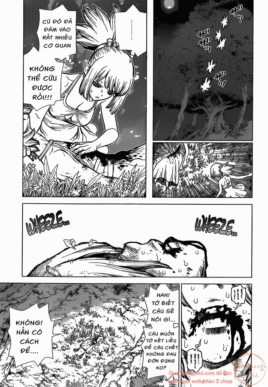Dr.stone Tập 121 trang 10
