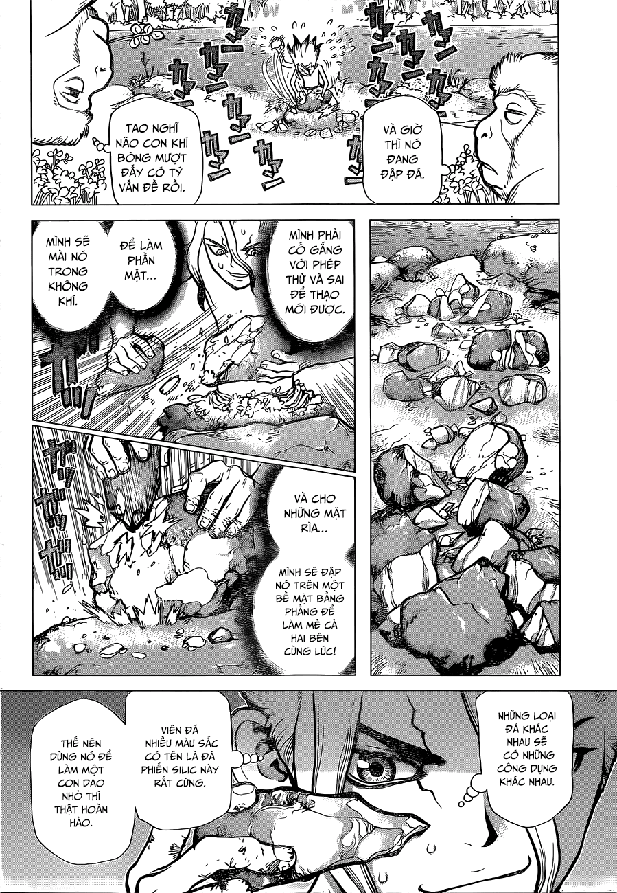 Dr.stone Tập 13 trang 13
