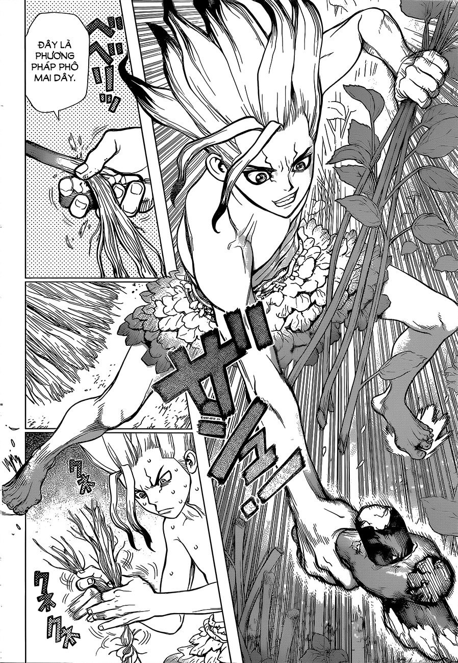 Dr.stone Tập 13 trang 15