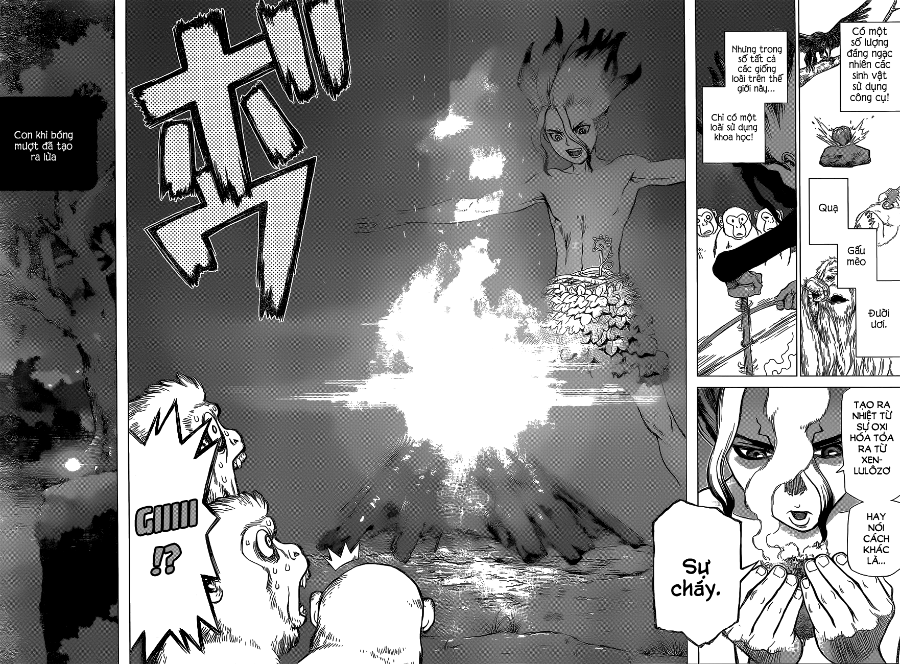 Dr.stone Tập 13 trang 17