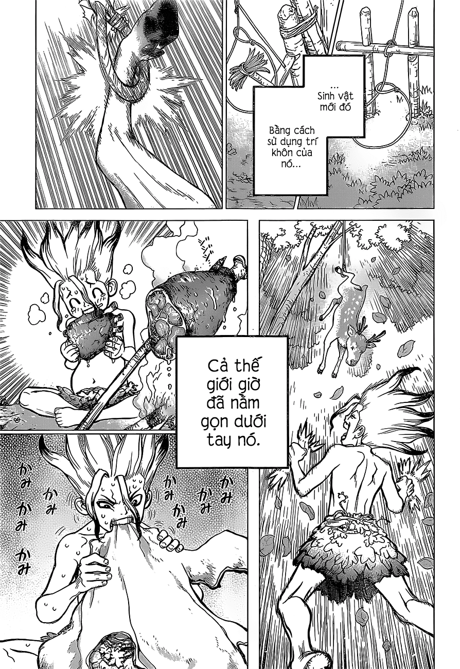 Dr.stone Tập 13 trang 18